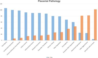 SARS-CoV-2 Infection in Pregnancy: Clinical Signs, Placental Pathology, and Neonatal Outcome—Implications for Clinical Care